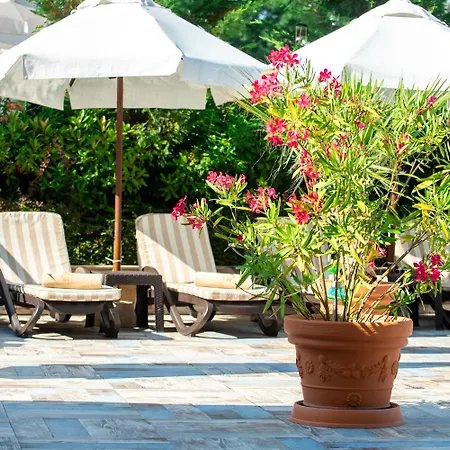 فندق Siena Palace