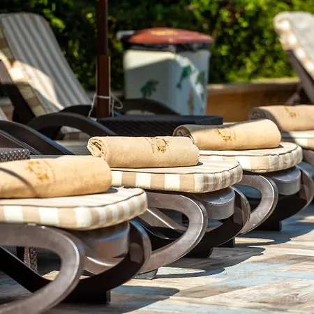 فندق Siena Palace 4*