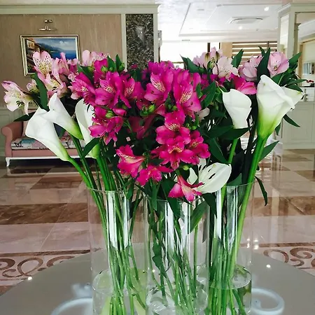 Siena Palace بريمورسكو