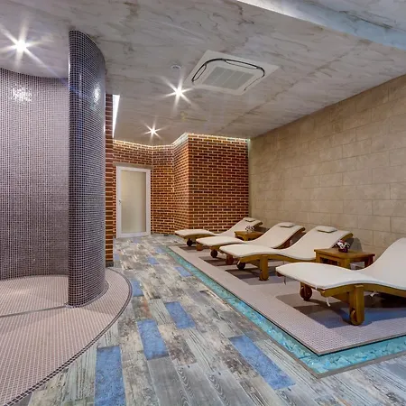 Siena Palace فندق