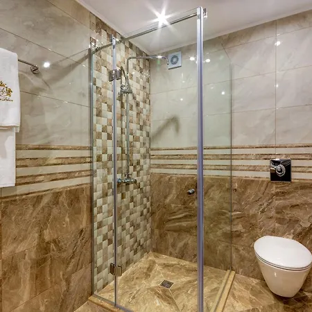 Siena Palace فندق