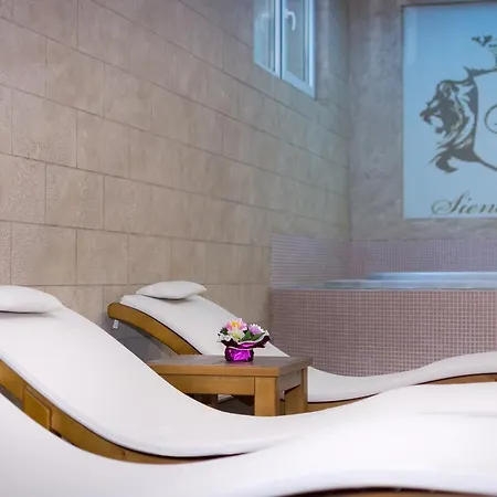 فندق Siena Palace 4*