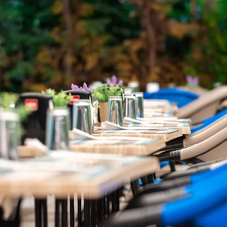 Siena Palace 호텔 4*