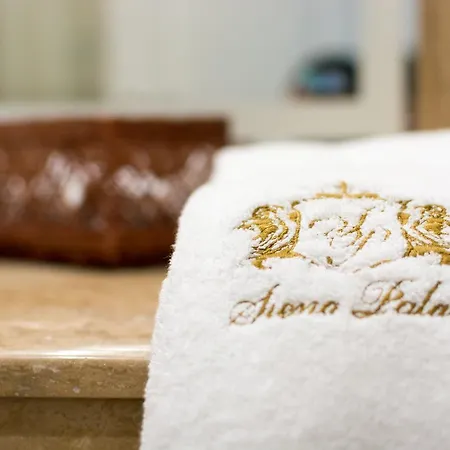 Siena Palace 호텔 4*