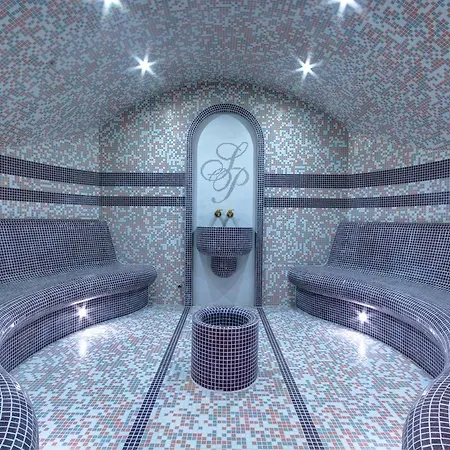 Siena Palace Hotel 4*