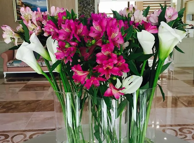 Siena Palace Primorsko